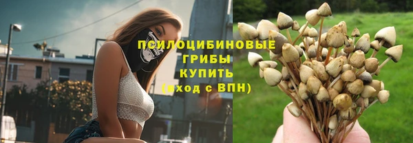 MESCALINE Покачи