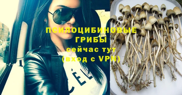 MESCALINE Покачи