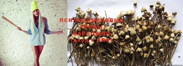 jwh Покров