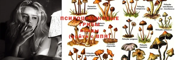 MESCALINE Покачи